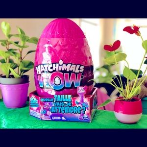 BRAND NEW : Hatchimals WOW